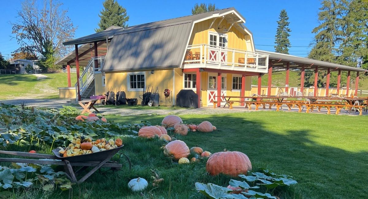 Seattle Farm photo 1