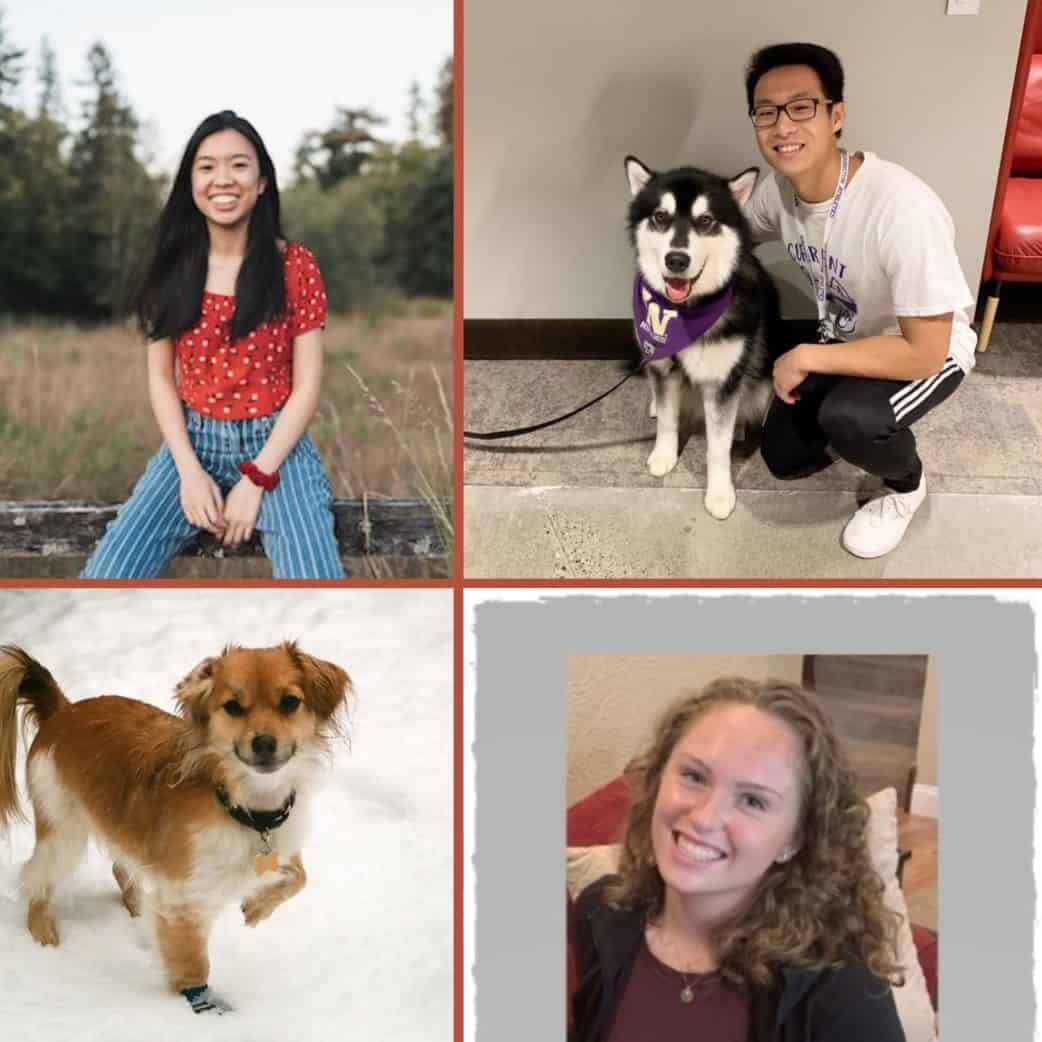 Seattle Tutoring Services