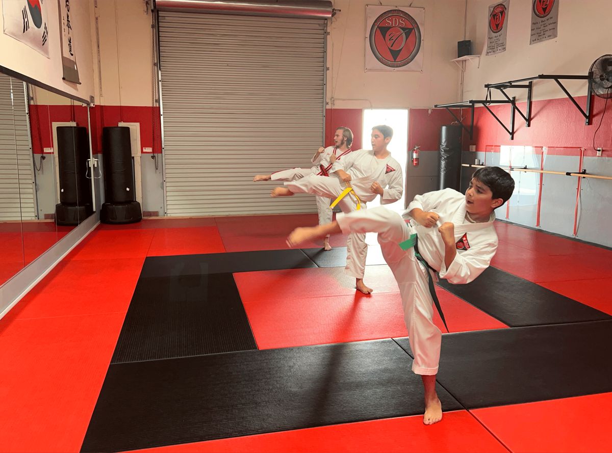 Self-Defense Solutions