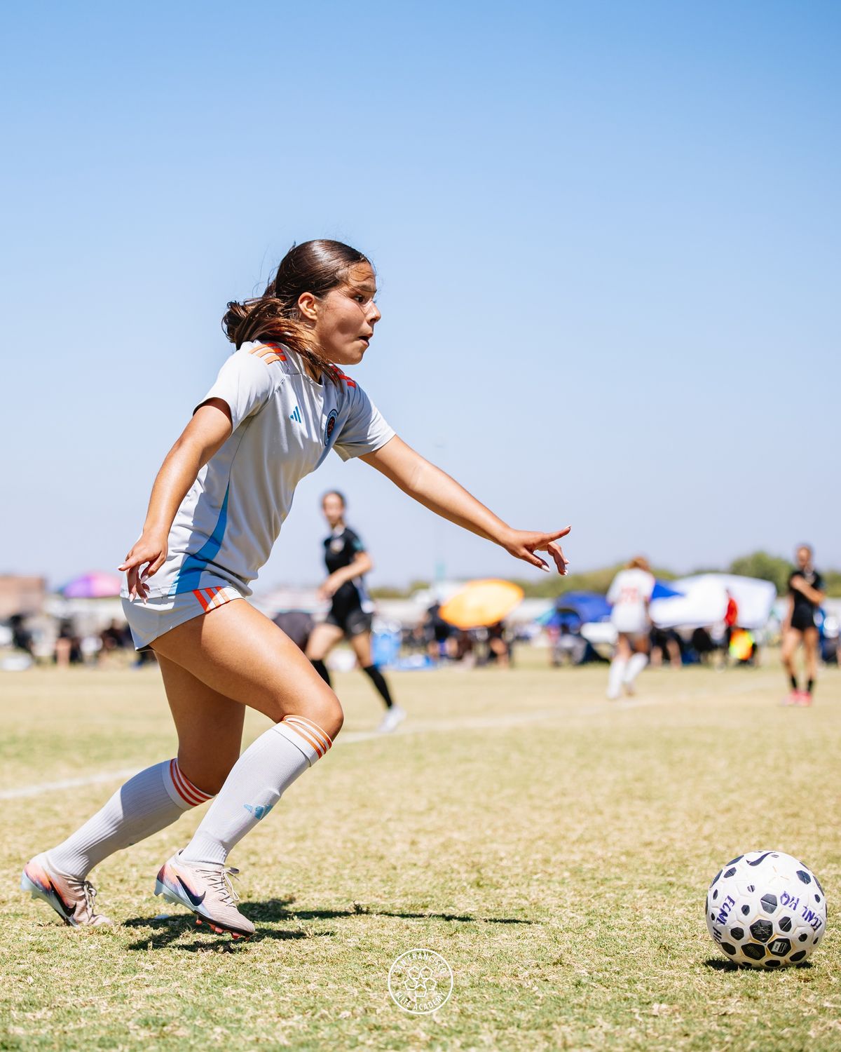 SF Elite Academy photo 1