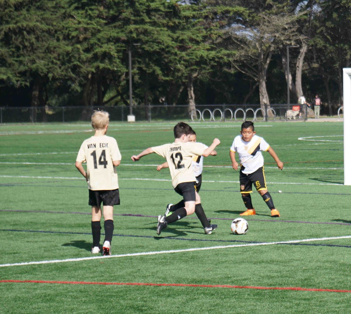 SF RUSH FC photo 1