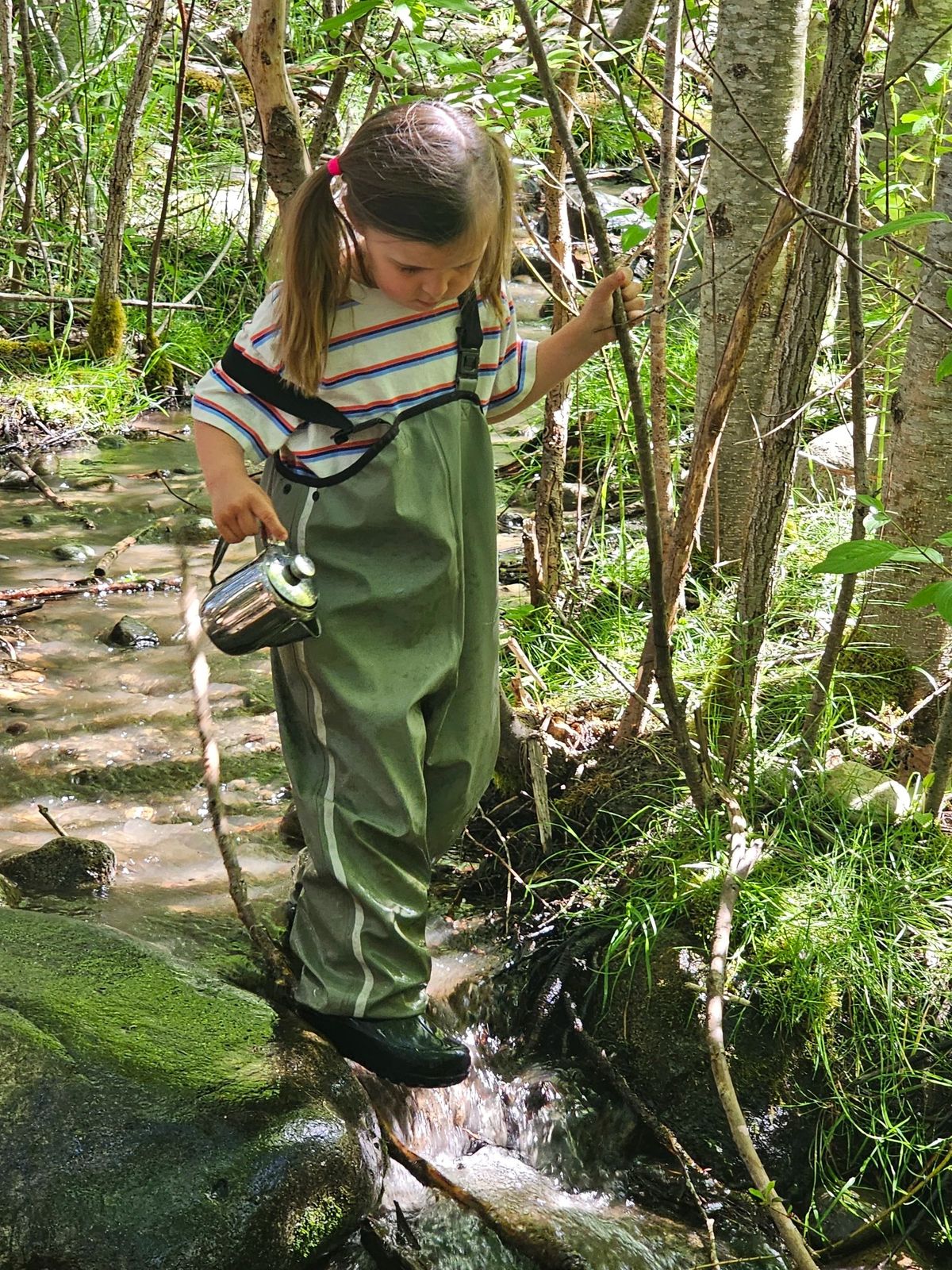 Sisu Outdoor School photo 1