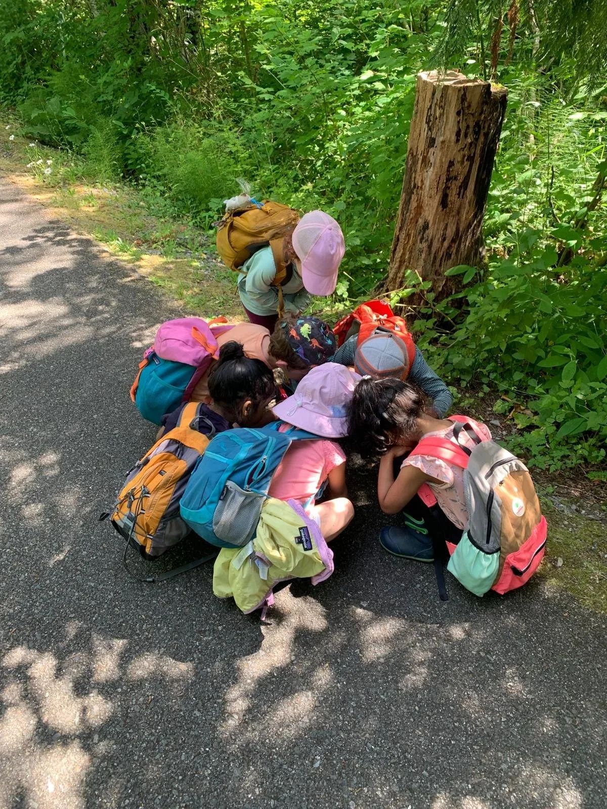 Sisu Outdoor School photo 2