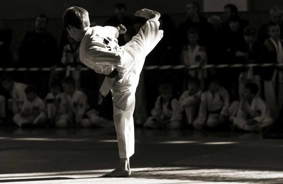 Sky Martial Arts L.A. - Masters United photo 1