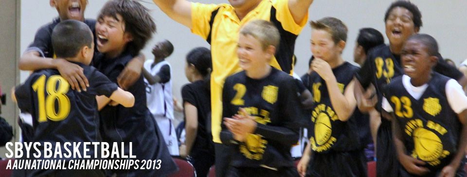 South Bay Youth Sports photo 2