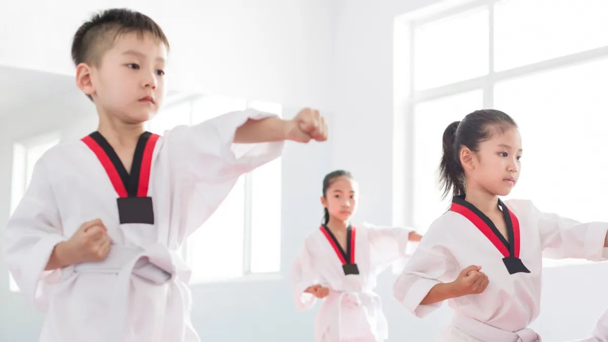 Sunrise TaeKwonDo photo 2