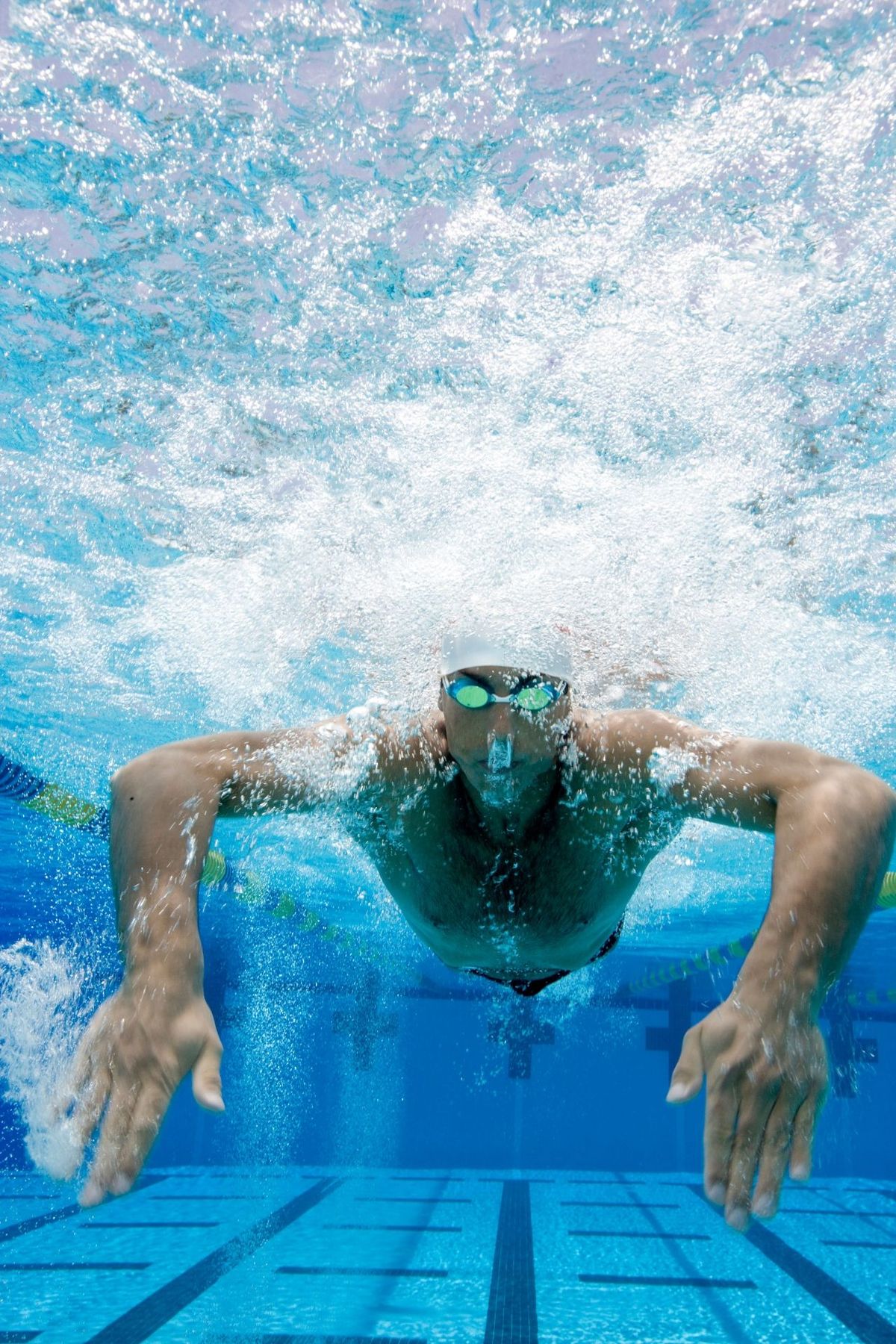 Swim With Milo photo 1