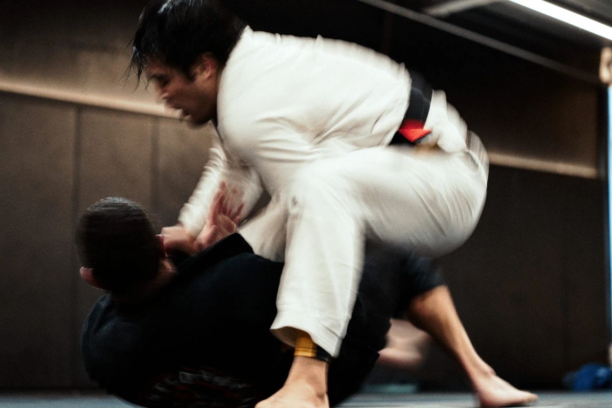 The Black Dog Jiu-Jitsu Company photo 1