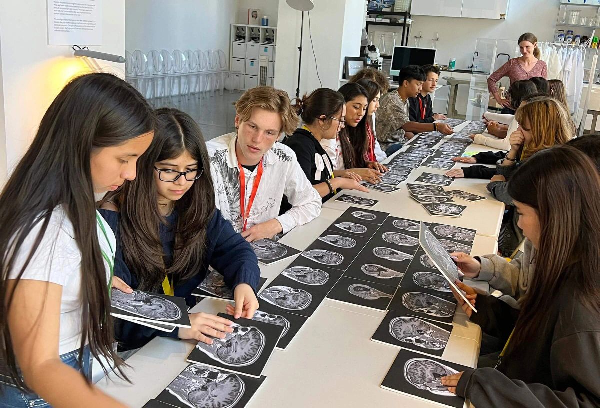 The Brain Observatory photo 1