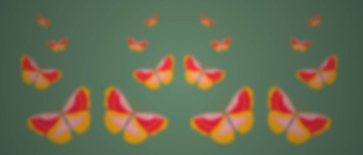 The Butterfly Effect Art Studio photo 2