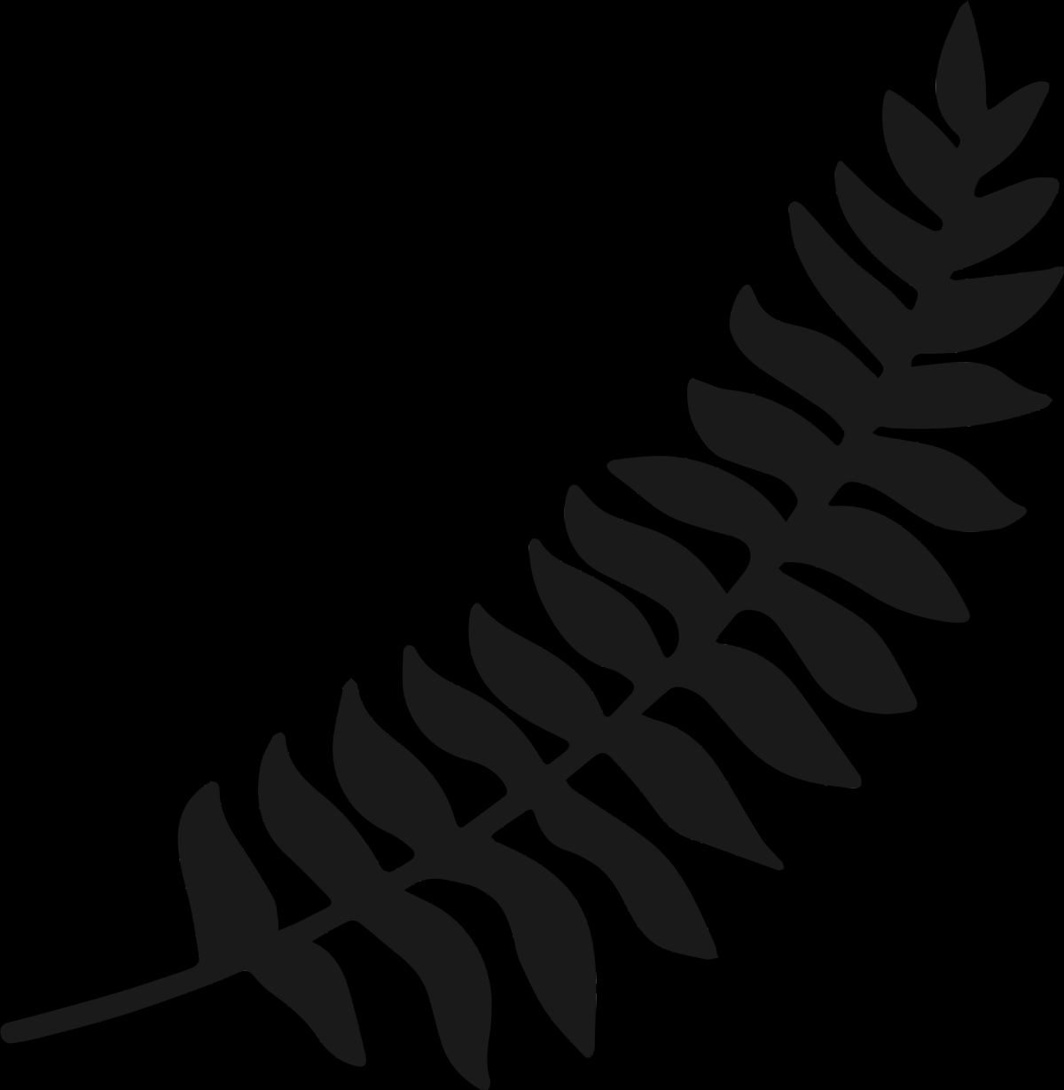 The Fern photo 2