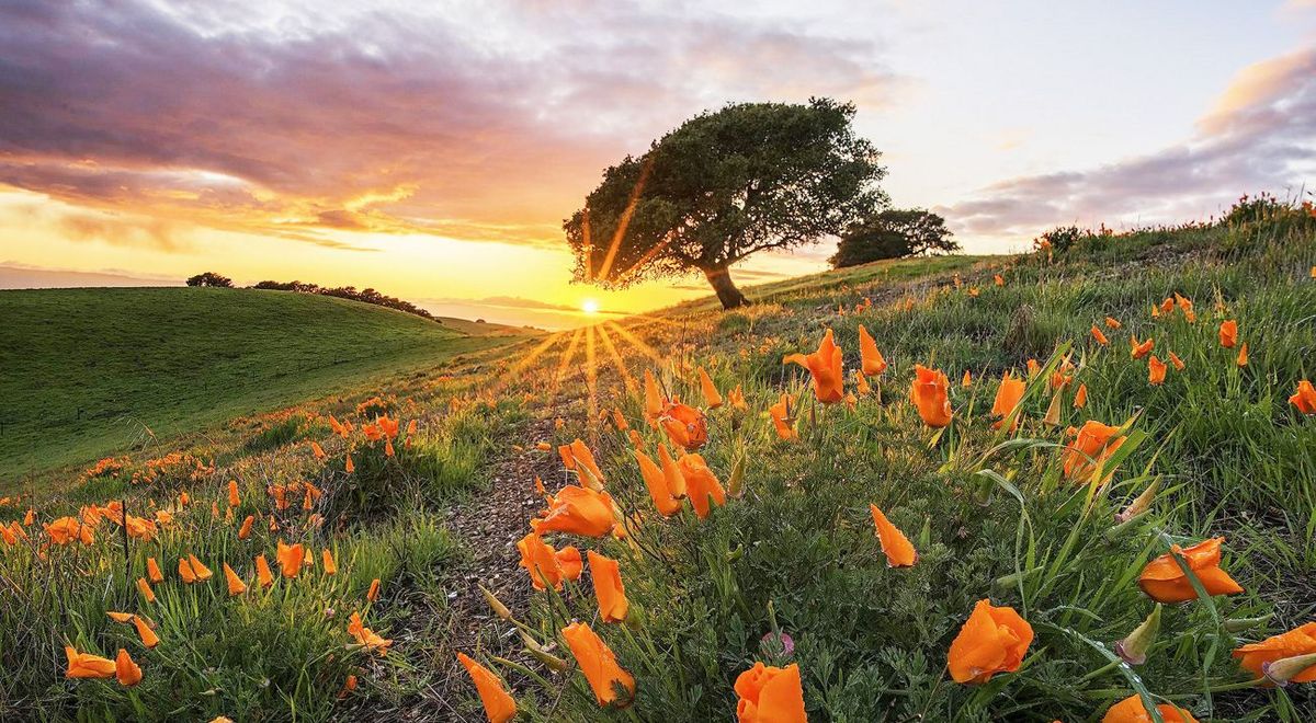 The Nature Conservancy in California photo 1