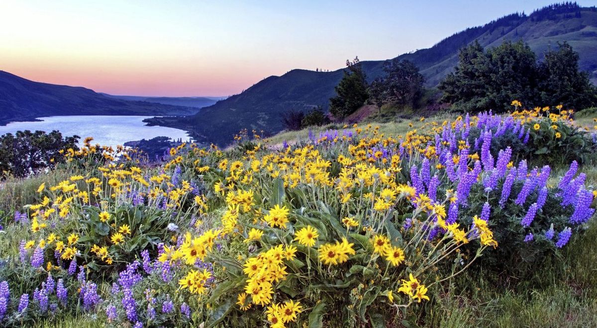 The Nature Conservancy - Oregon Conservation Center photo 1