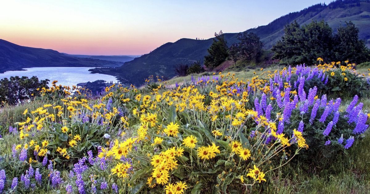 The Nature Conservancy - Oregon Conservation Center