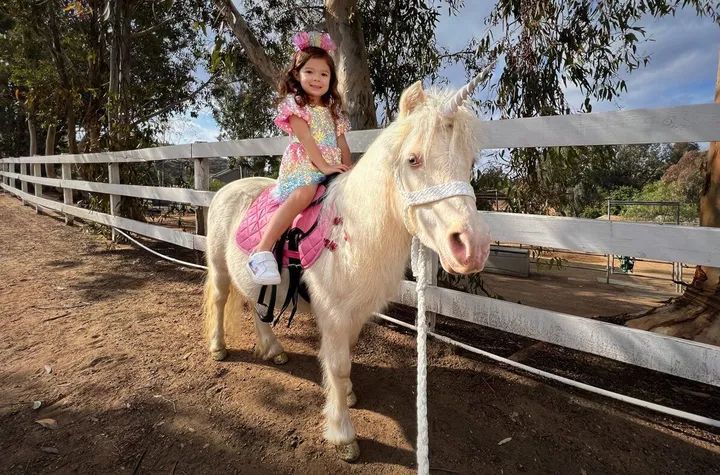 The Posh Unicorn photo 2
