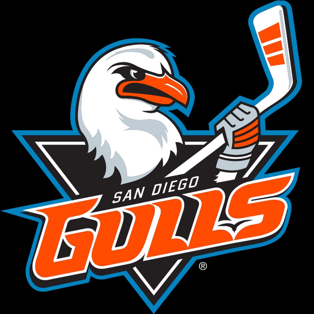 The Rinks - Poway ICE