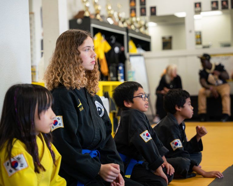 U.S. Karate Academy photo 1