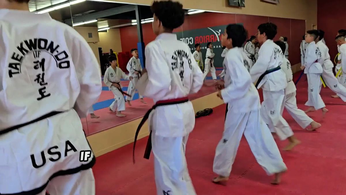 Warrior Code Taekwon-Do Academy photo 1