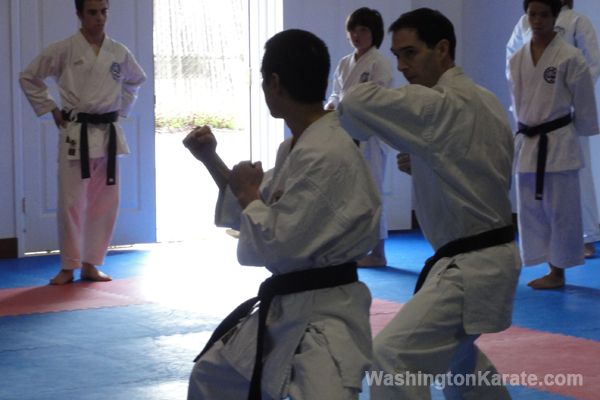 Washington Karate photo 1