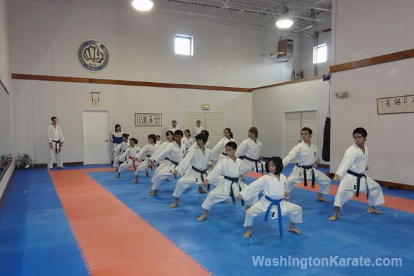 Washington Karate photo 2