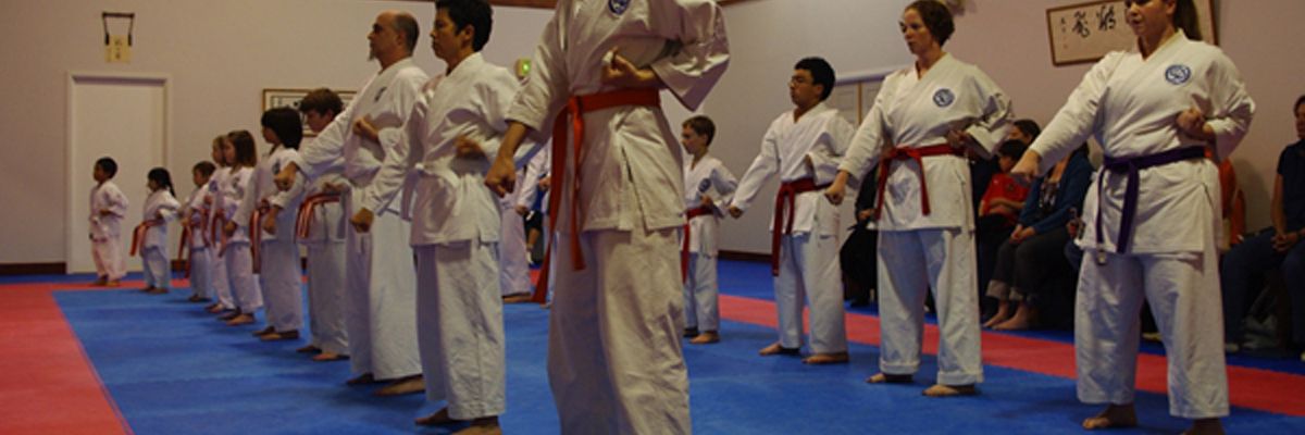 Washington Karate