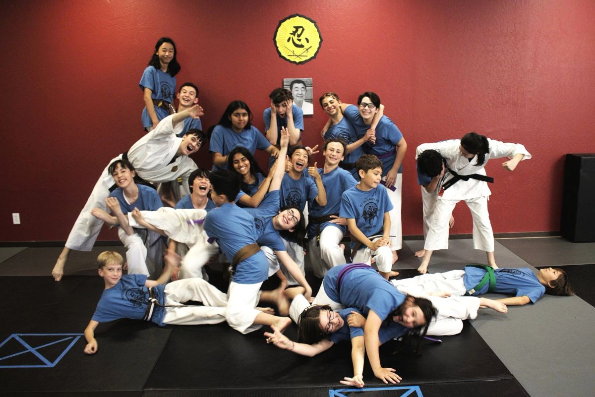 West Valley Martial Arts photo 2