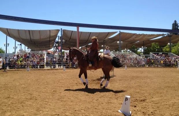 Western Sky Equestrian Center, LLC photo 2