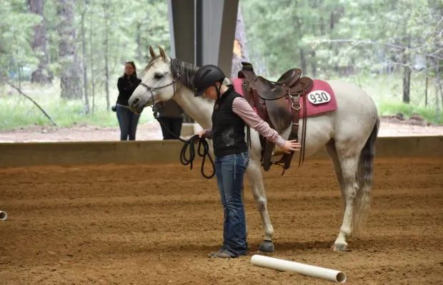 Western Sky Equestrian Center, LLC