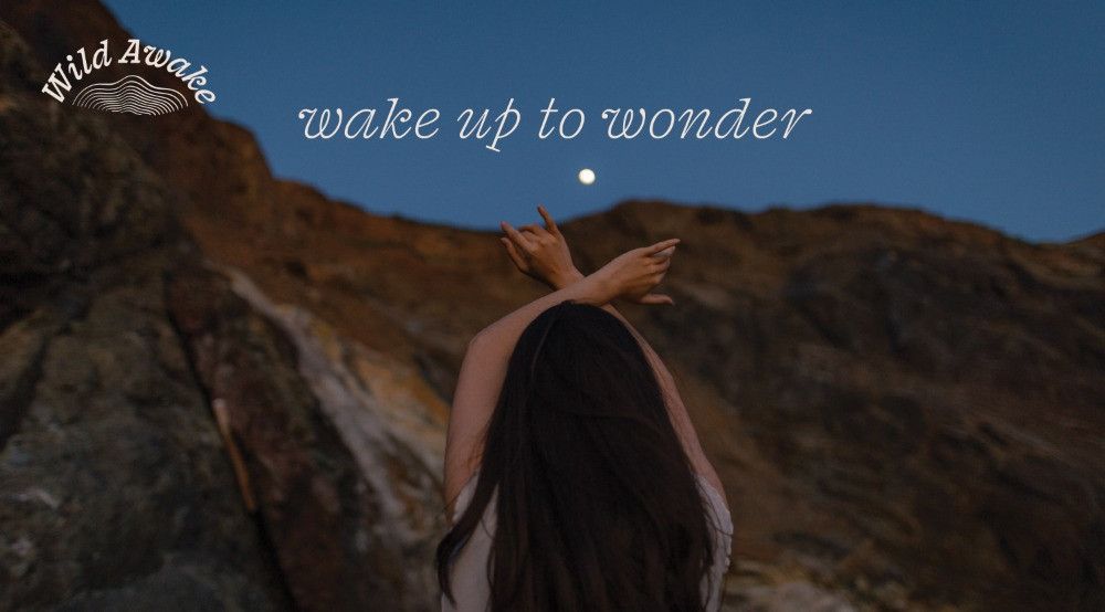 Wild Awake photo 1