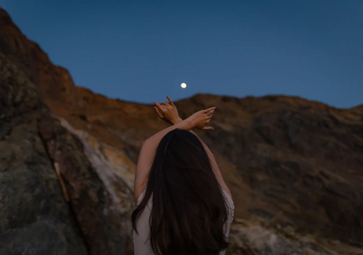 Wild Awake photo 2