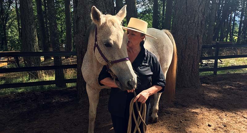 Wild Horse Mountain Farms Inc. photo 2
