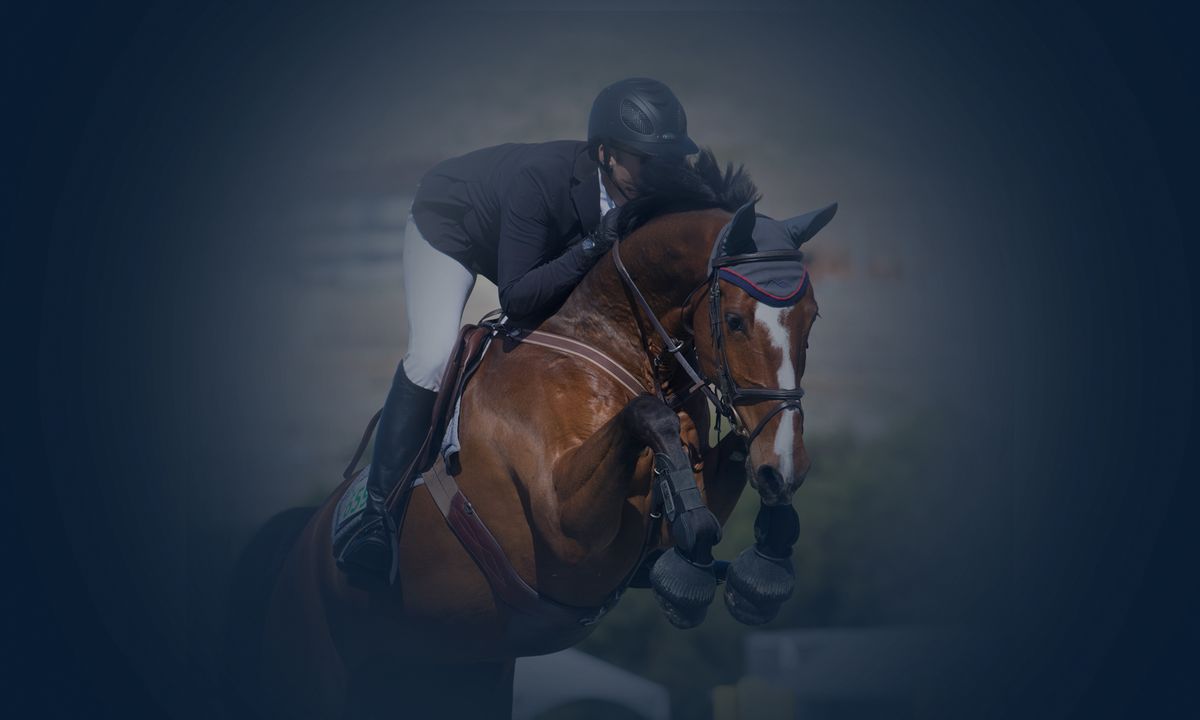 Windy Hill Equestrian
