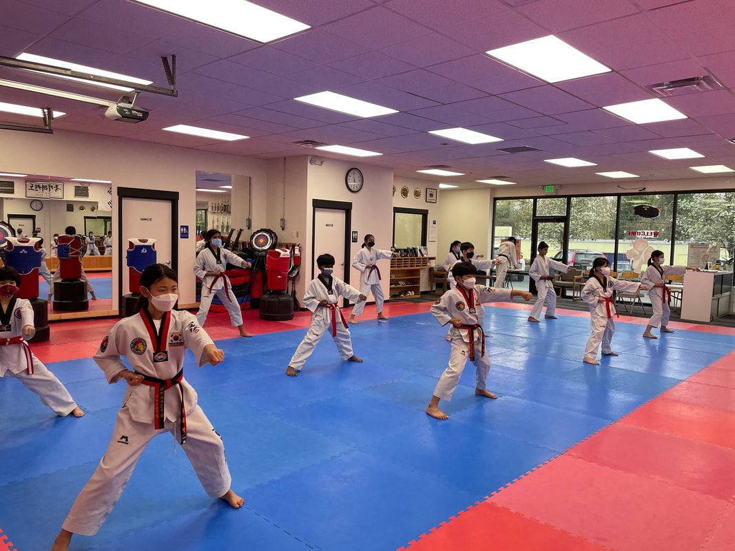 World Tae Kwon Do Academy photo 1