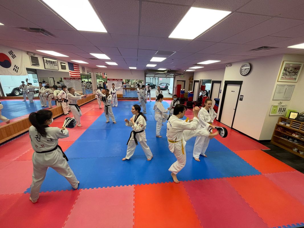 World Tae Kwon Do Academy photo 2